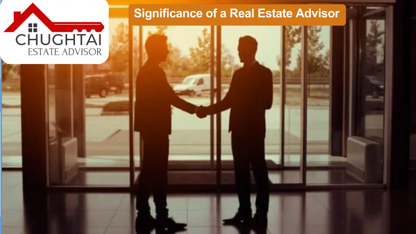 real estate advisor property dealer